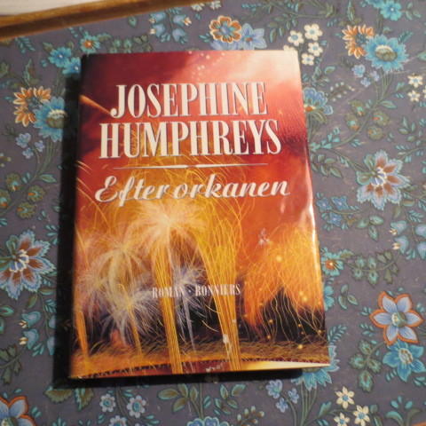 Efter orkanen : [roman]