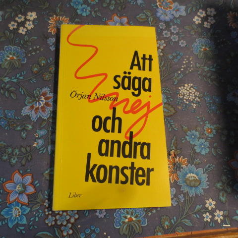 Att s&auml;ga nej och andra konster : en bok om personlig f&ouml;rm&aring;ga