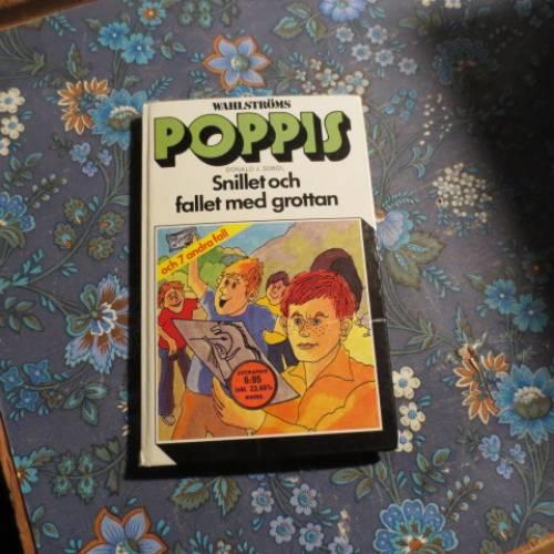 Snillet och fallet med grottan