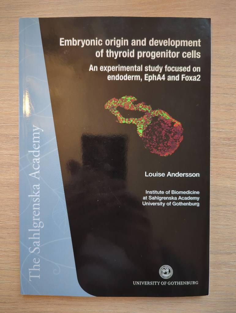 Embryonic origin and development of thyroid progenitor cells : an experimental study focused on endoderm, EphA4 and Foxa2