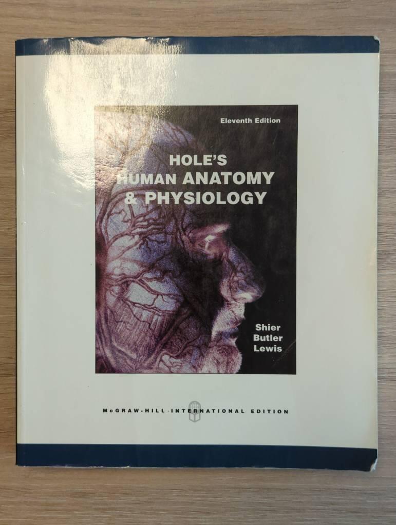 Holes human anatomy and physiology