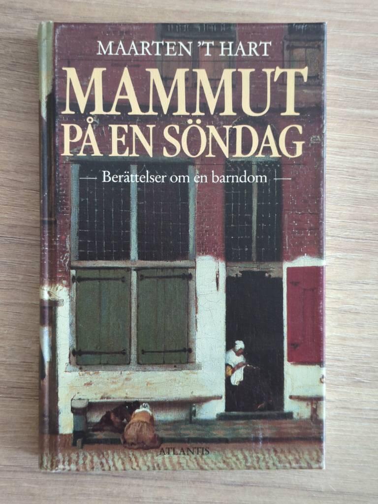 Mammut p&aring; en s&ouml;ndag : ber&auml;ttelser om en barndom : (Maasslius 1948-1960)