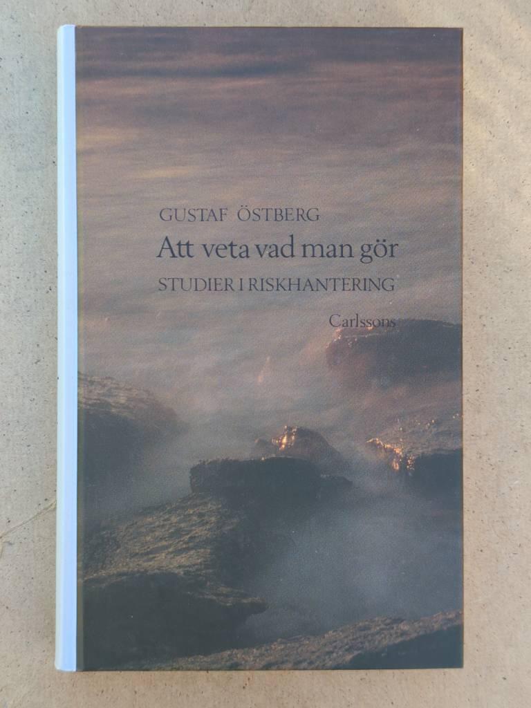 Att veta vad man g&ouml;r : studier i riskhantering