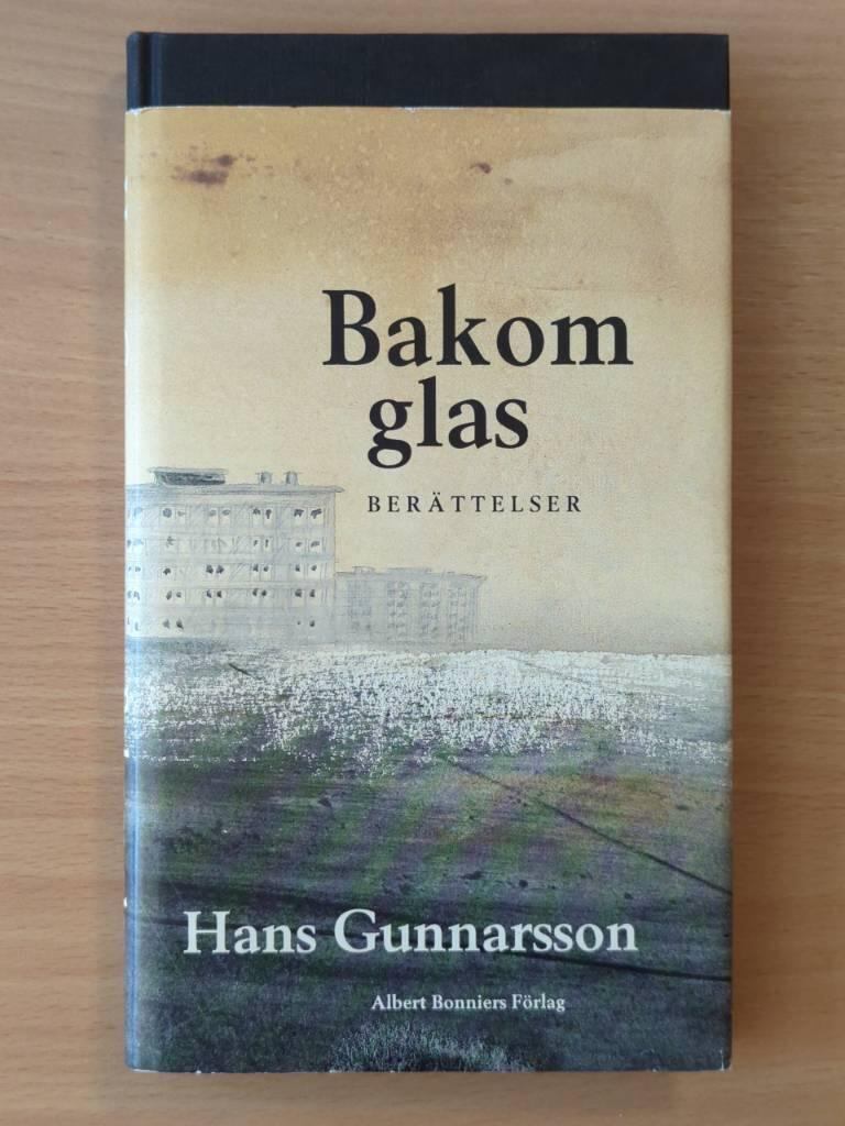 Bakom glas : ber&auml;ttelser