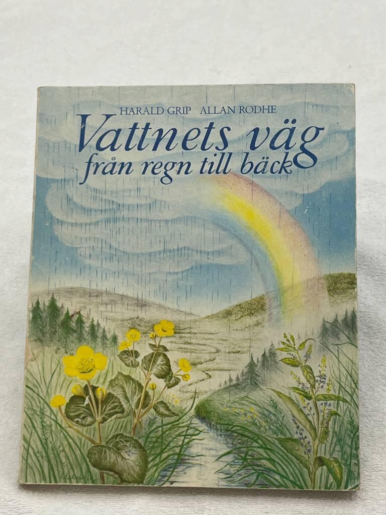 Vattnets v&auml;g fr&aring;n regn till b&auml;ck