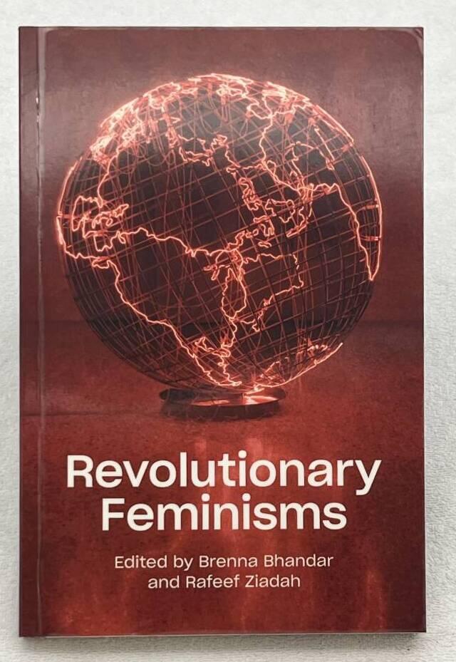 Revolutionary feminisms