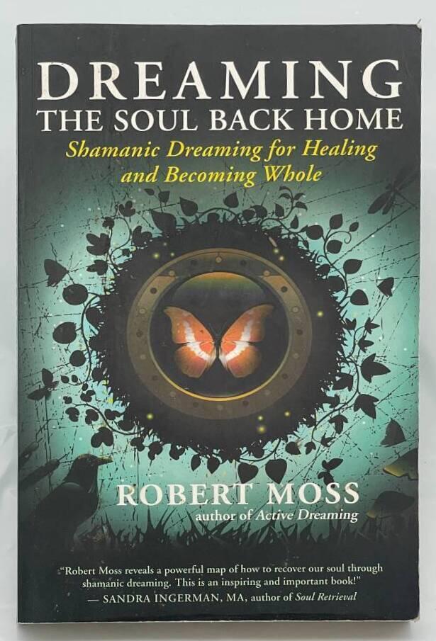 Dreaming the soul back home