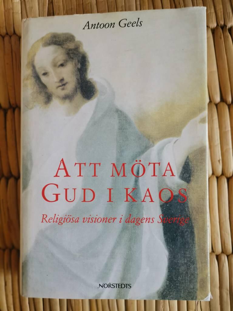 Att m&ouml;ta Gud i kaos : religi&ouml;sa visioner i dagens Sverige