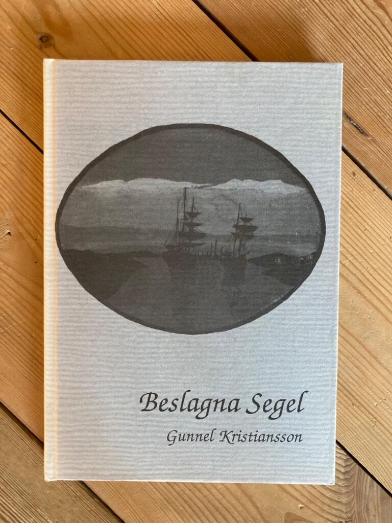 Beslagna segel : de havsburna n&auml;ringarna p&aring; Tj&ouml;rn under 1800-talet