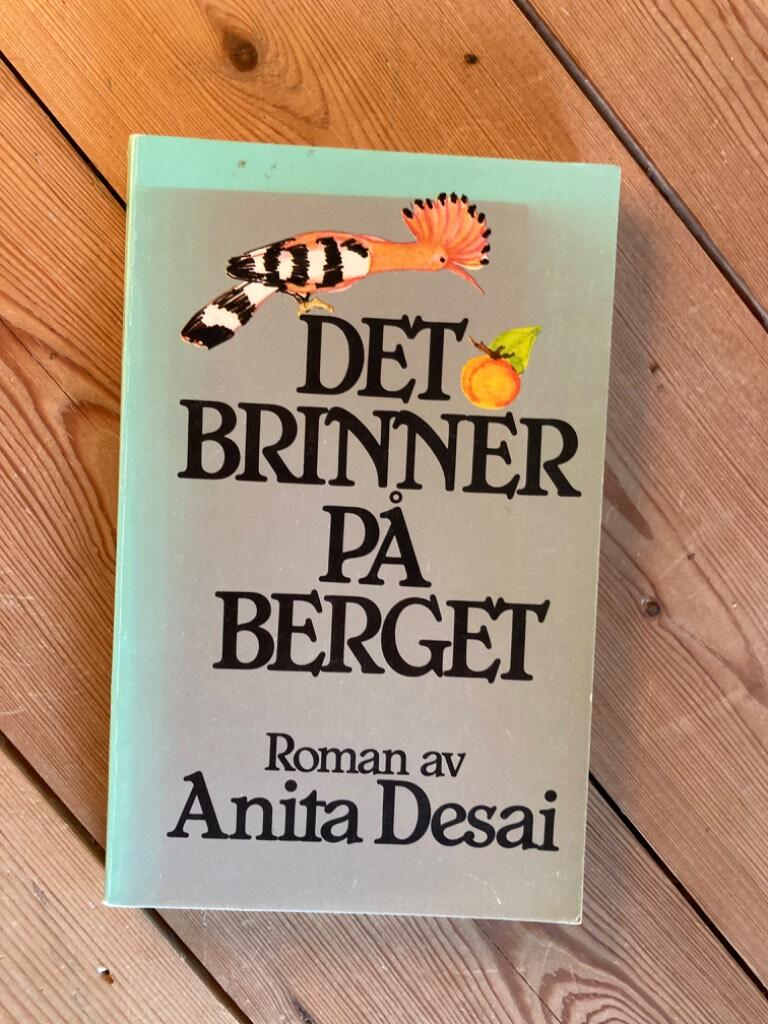 Det brinner p&aring; berget : [roman]