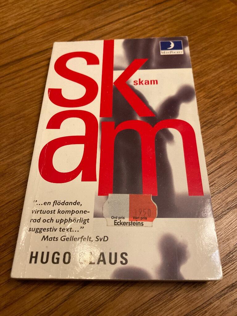 Skam : roman