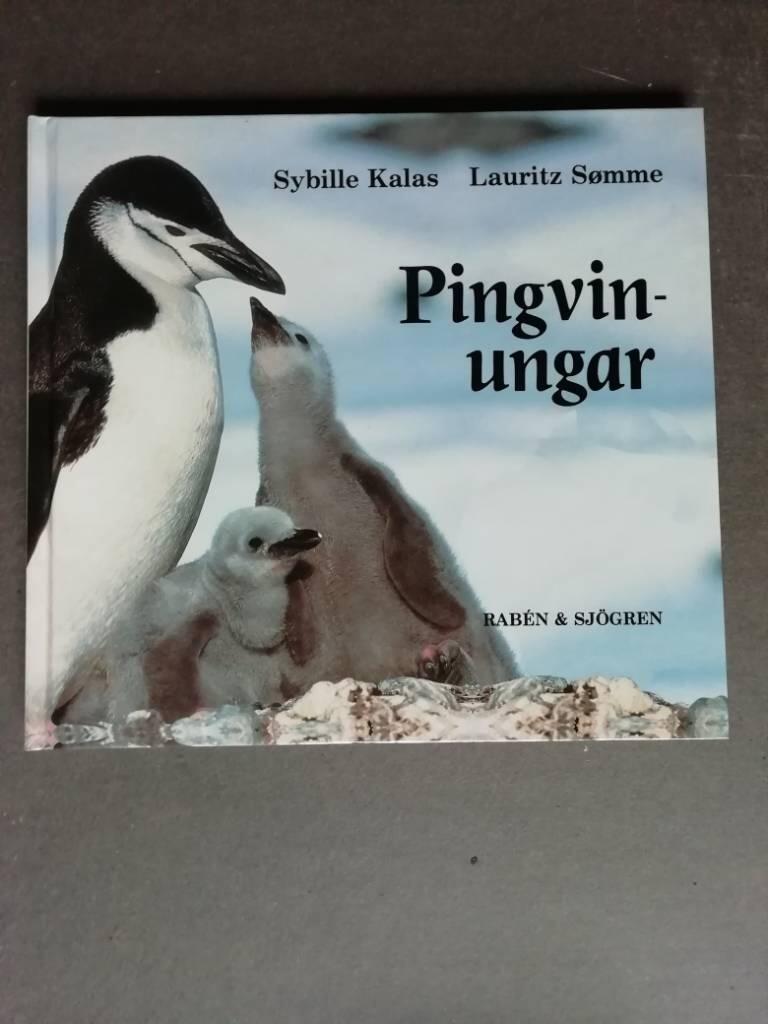 Pingvinungar