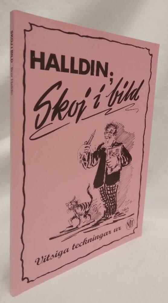 Skoj i bild : vitsiga teckningar ur NLT