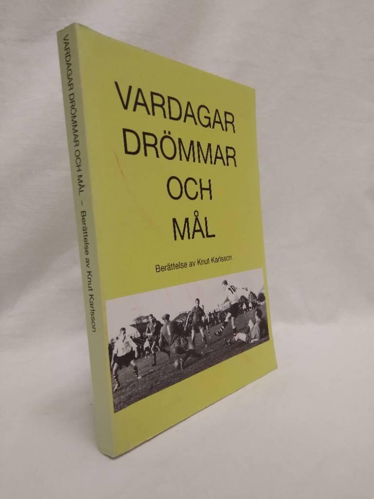 Vardagar, dr&ouml;mmar och m&aring;l - ber&auml;ttelse i romanform