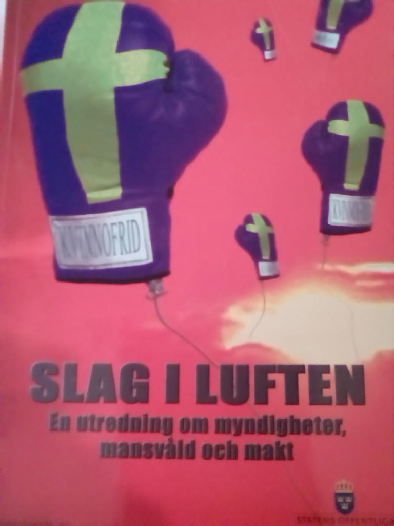 Slag i luften [Elektronisk resurs] : en utredning om myndigheter, mansv&aring;ld och makt : bet&auml;nkande