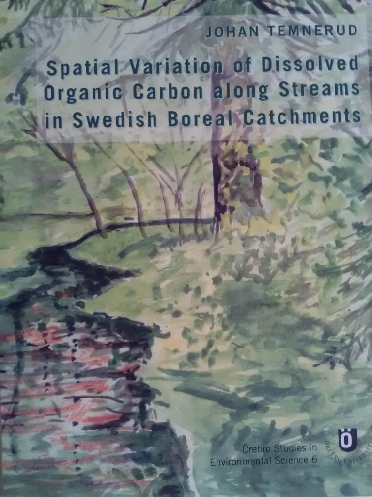 Spatial variation of dissolved organic carbon along streams in Swedish boreal catchments
