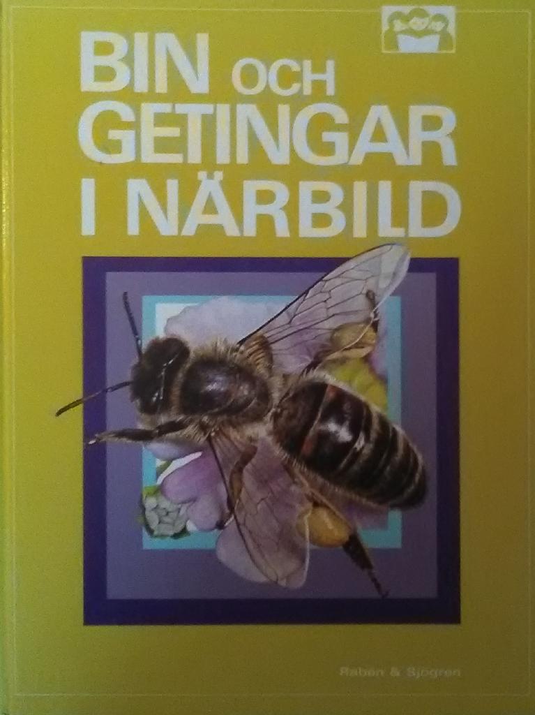 Bin och getingar i n&auml;rbild