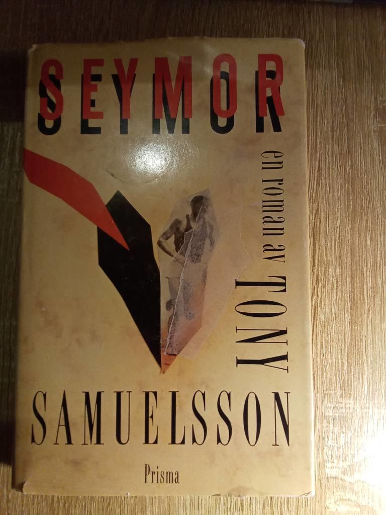 Seymor : [en roman]