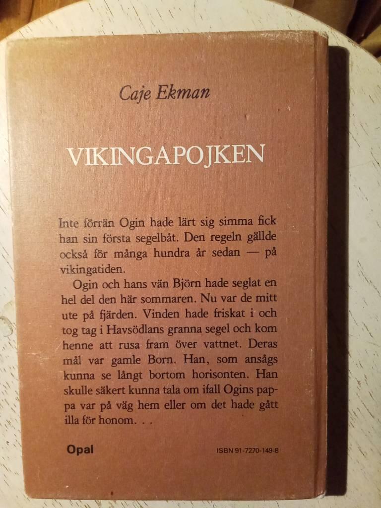 Vikingapojken