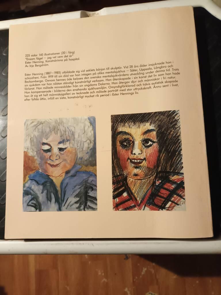 "Ensam f&aring;gel - jag vet vem det &auml;r" : Ester Henning : konstn&auml;rinna p&aring; hospital = "Lonely bird - I know who that is" : Ester Henning : woman artist in mental asylum