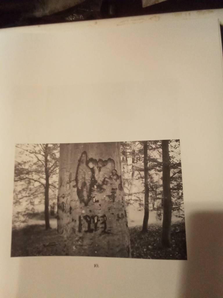 Swedish arborglyphs - august &ndash; september 2021