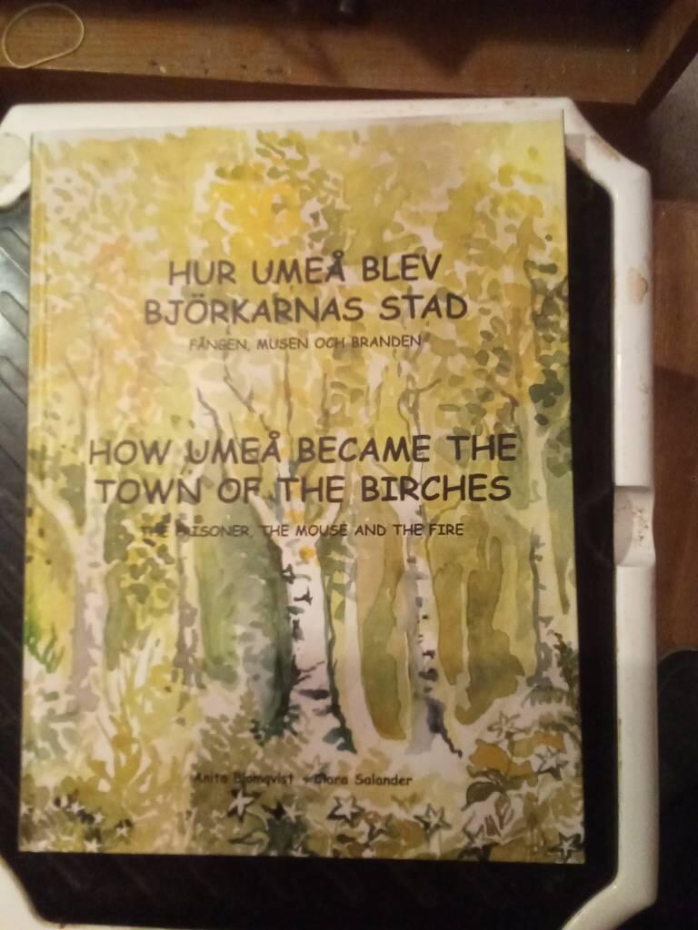 Hur Ume&aring; blev bj&ouml;rkarnas stad : f&aring;ngen, musen och branden = How Ume&aring; became the town of the birches : the prisoner, the mouse and the fire