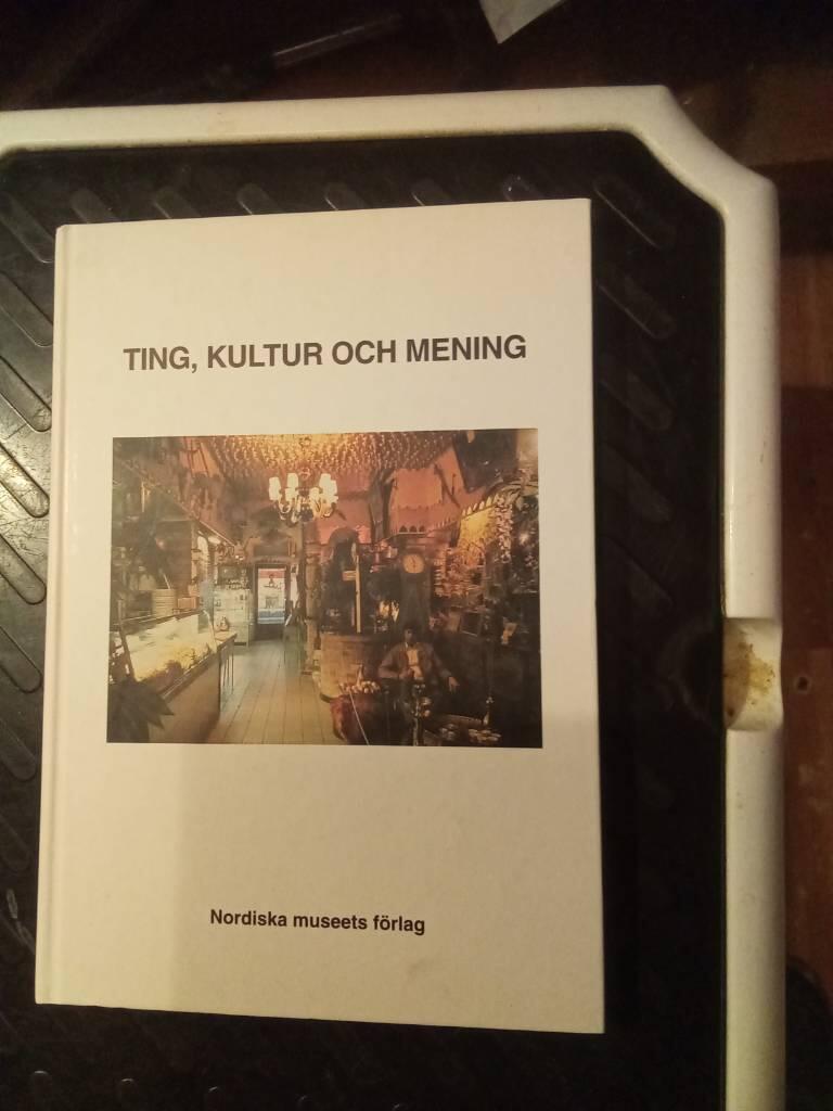 Ting, kultur och mening