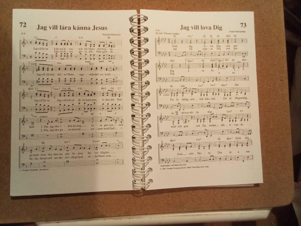 Sjung lovsång alla länder [Musiktryck] : 167 sånger för kör och församlingssång