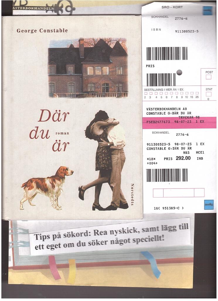 D&auml;r du &auml;r : roman