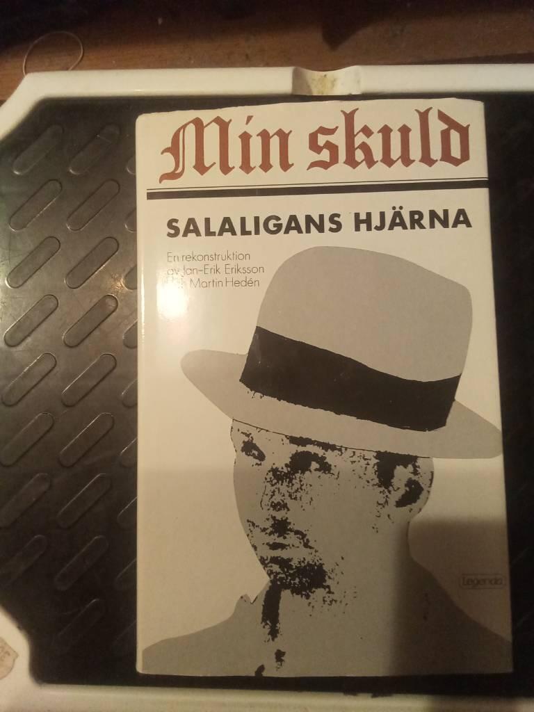 Min skuld : Salaligans hjärna : en rekonstruktion