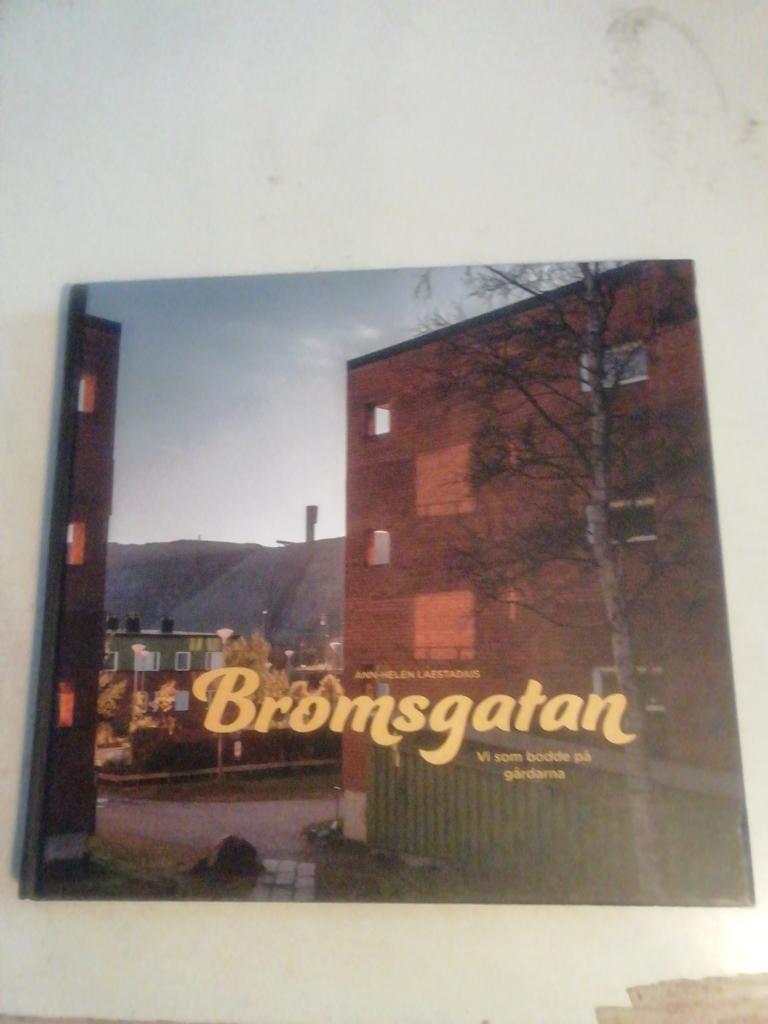 Bromsgatan : vi som bodde p&aring; g&aring;rdarna