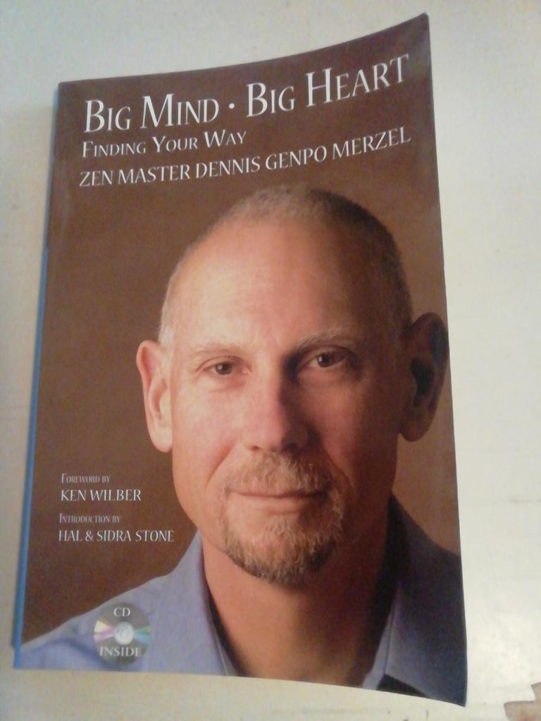 Big mind, big heart : finding your way