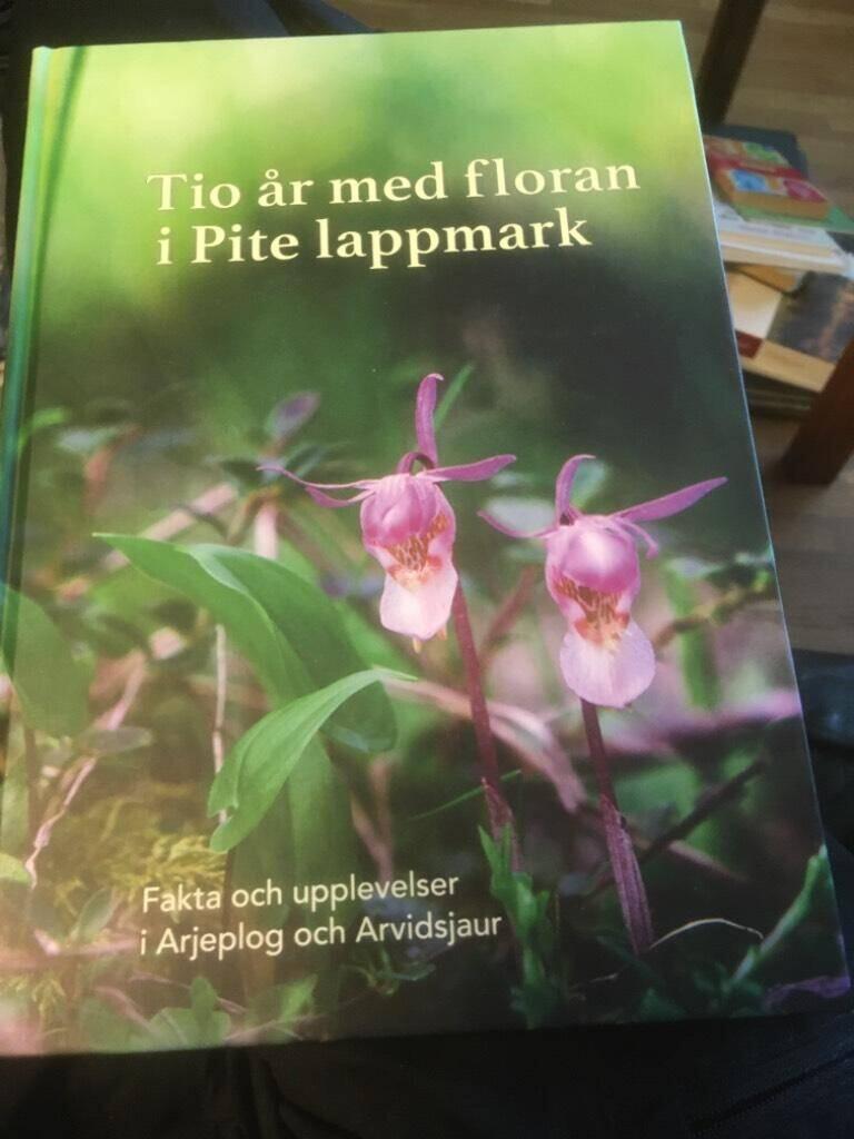 Tio &aring;r med floran i Pite lappmark