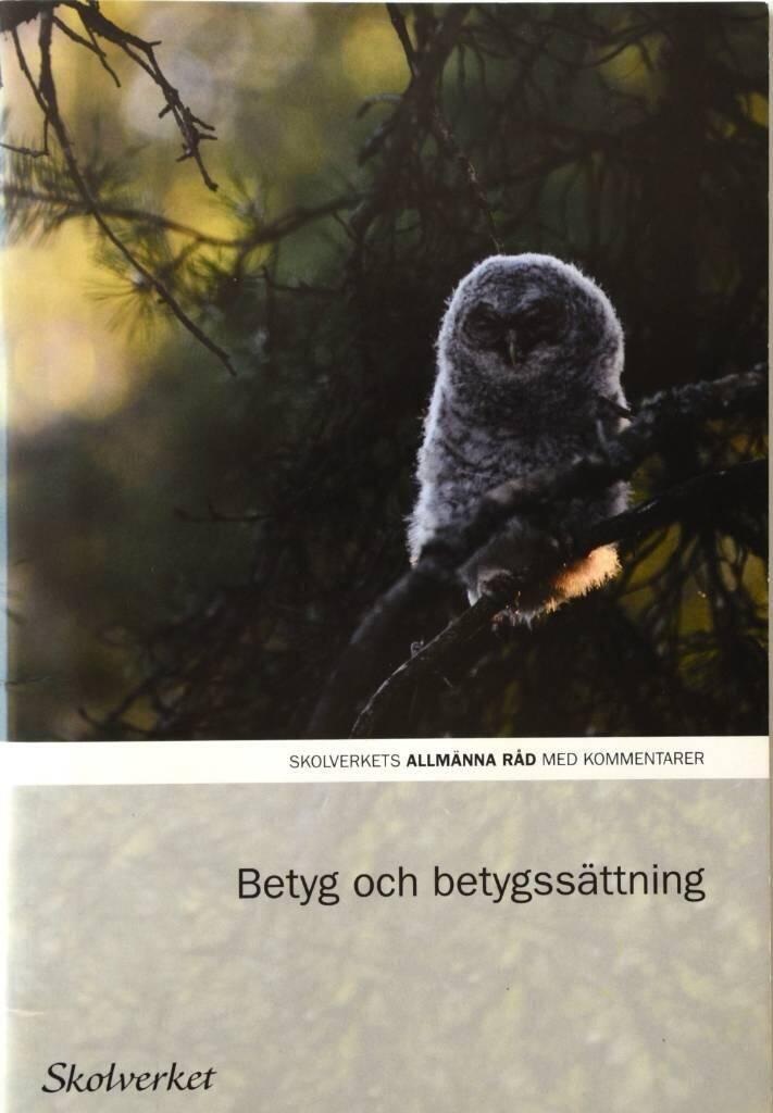Betyg och betygss&auml;ttning