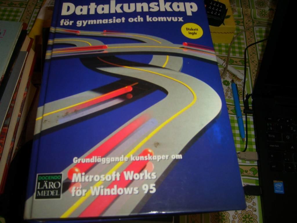 Datakunskap med Microsoft Works f&ouml;r Windows 95 : grundkurs