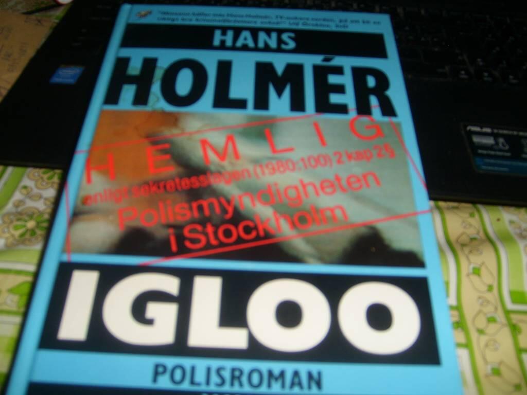 Igloo : polisroman