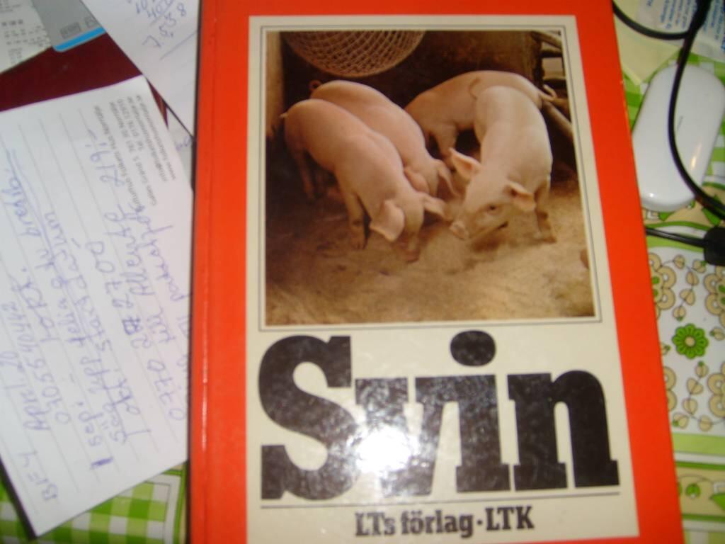 Svin