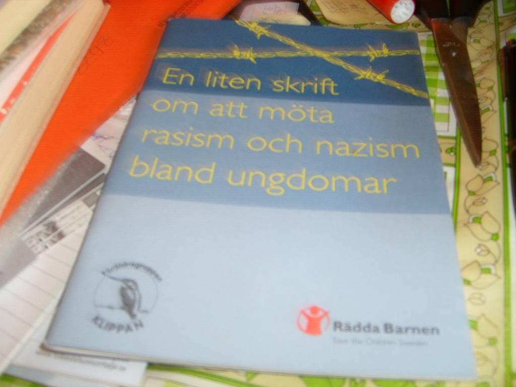 En liten skrift om att m&ouml;ta rasism och nazism bland ungdomar. [Elektronisk resurs]