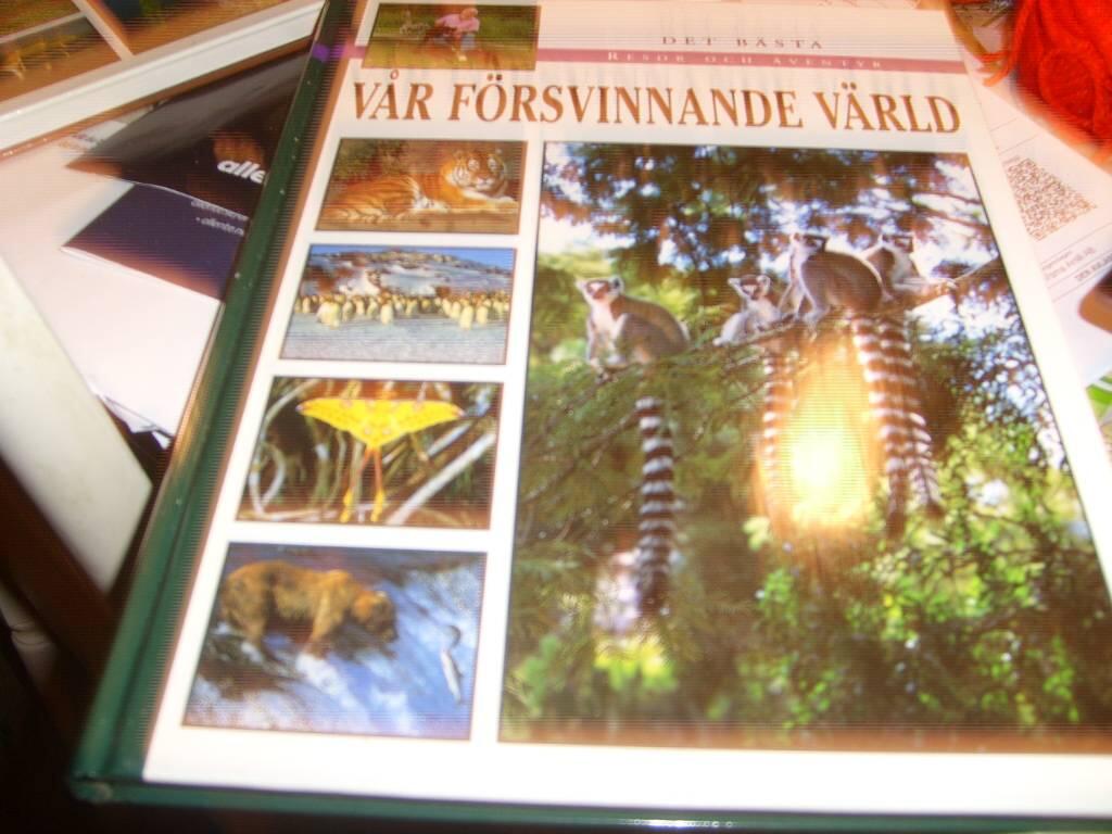 V&aring;r f&ouml;rsvinnande v&auml;rld
