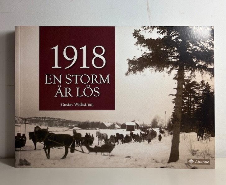 En storm &auml;r l&ouml;s - &Aring;bolands sk&auml;rg&aring;rd v&aring;rvintern 1918