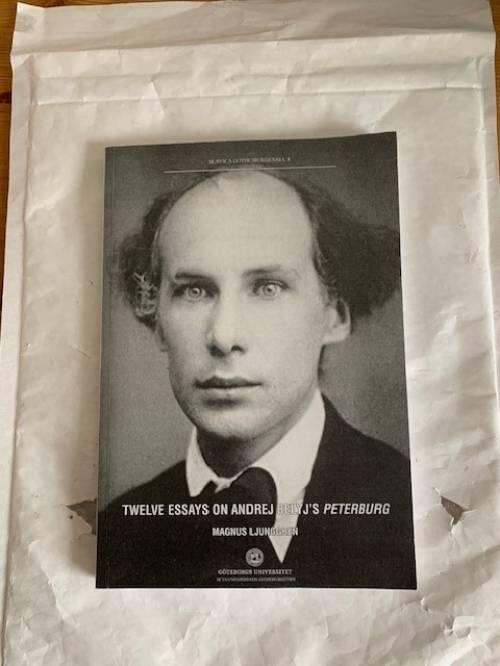 Twelve essays on Andrej Belyj's Peterburg