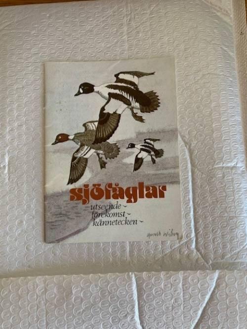 Sj&ouml;f&aring;glar - utseende, f&ouml;rekomst, k&auml;nnetecken