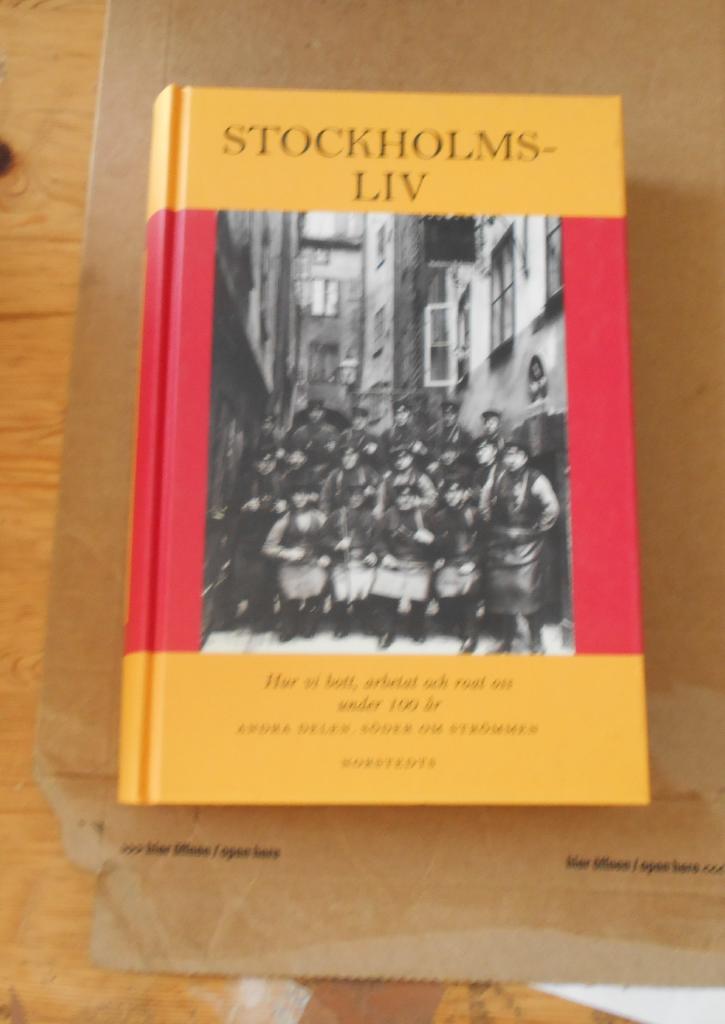 Stockholmsliv : hur vi bott, arbetat och roat oss under 100 &aring;r. Bd 2, S&ouml;der om Str&ouml;mmen