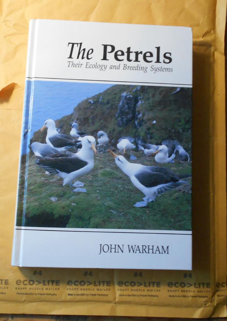 The petrels