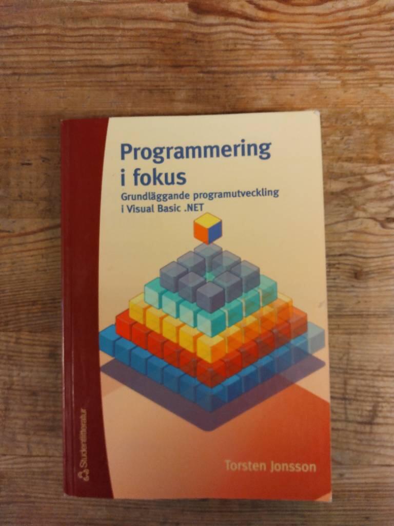 Programmering i fokus