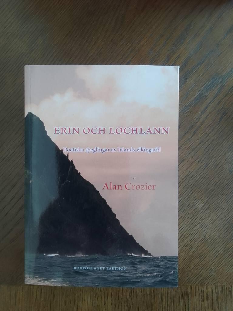 Erin och Lochlann - poetiska speglingar av Irlands vikingatid