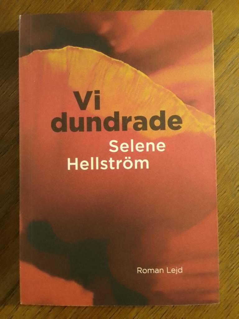 Vi dundrade - roman