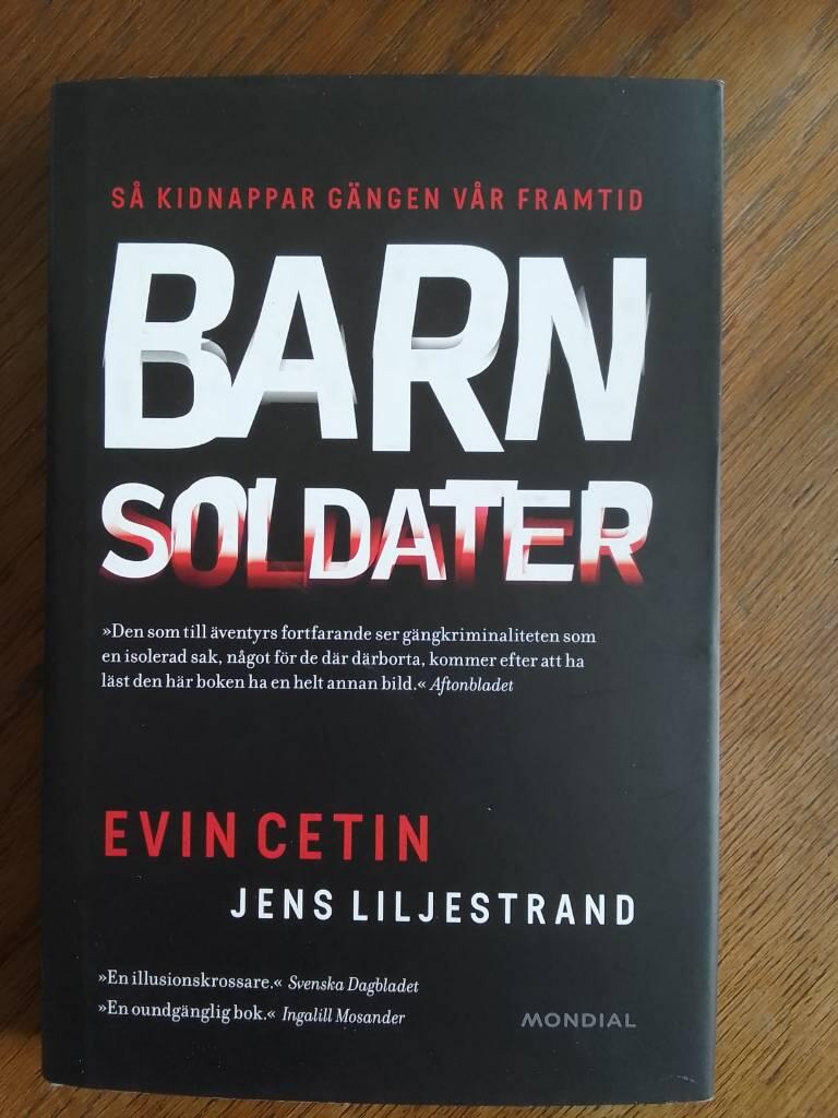 Barnsoldaterna : dagbok fr&aring;n en brytningstid