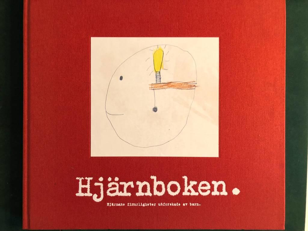 Hj&auml;rnboken : hj&auml;rnans finurligheter utforskade av barn