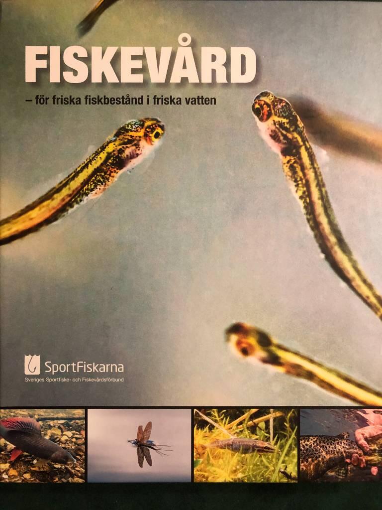 Skolb&auml;cken: som ett rinnande vatten? : utv&auml;rdering av Sportfiskarnas satsning p&aring; naturv&aring;rdsinriktad utomhuspedagogik